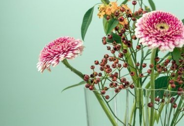 Unsere liebsten Blumenlieferanten in der Schweiz
