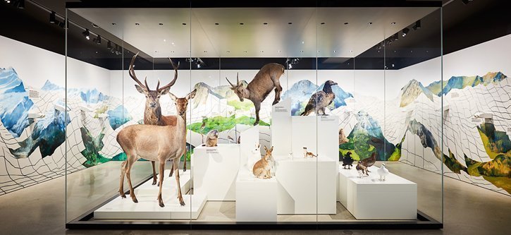 Die schönsten Schweizer Museen