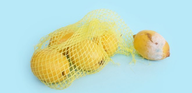 Zitronen im Netz, eine Zitrone schimmelt.
