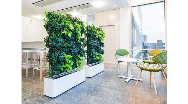 Pflanzenwand als Raumteiler zuhause wie im Büro oder im Restaurant.