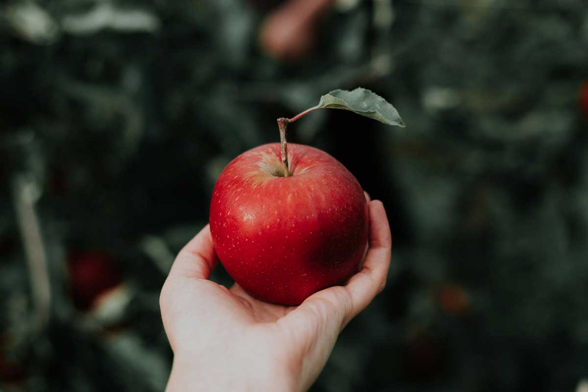 Eine Hand hält einen roten Apfel.