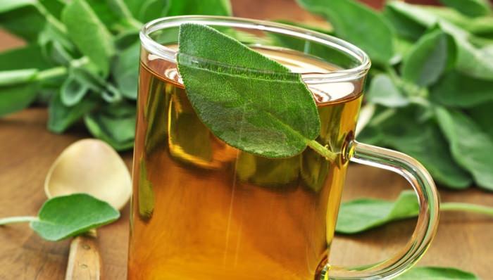 Tee- und Heilkräuter: Salbei selber pflanzen