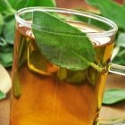 Tee- und Heilkräuter: Salbei selber pflanzen