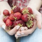 Skin Foods: Erdbeeren - Beerenstarkes Skin Food