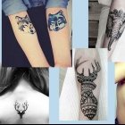 Tattoo Vorlagen für Tier-Motive