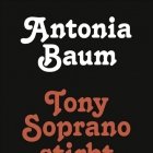 Beste Bücher 2016: Antonia Baum. Tony Soprano stirbt nicht