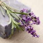 Seife selber machen: Lavendelseife