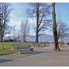 Schöne Orte in Zürich: Küsnachter Horn