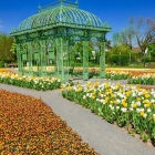 Die schönsten Wiener Parks und Gärten: Blumengärten Hirschstetten