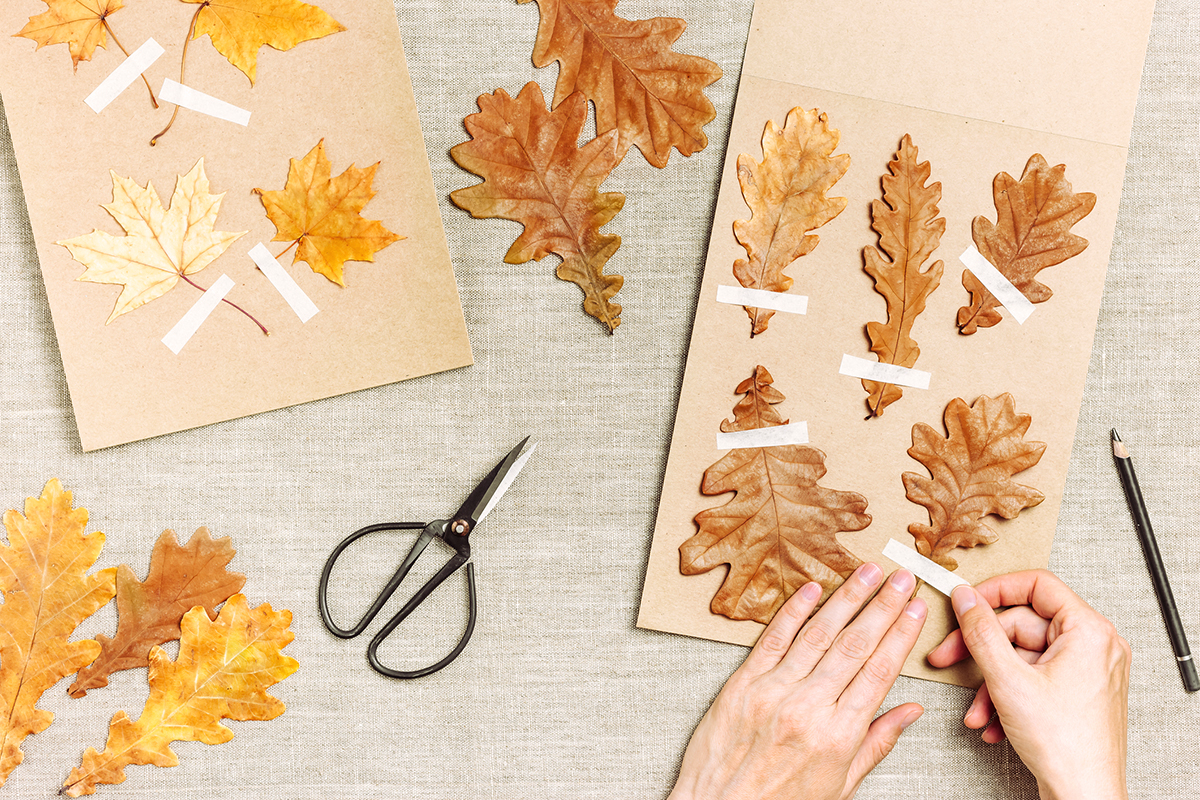 Das herbstliche Herbarium lag flach mit menschlichen Händen, die Blätter klebten und Namen auf Bastelpapierkarten schrieben.