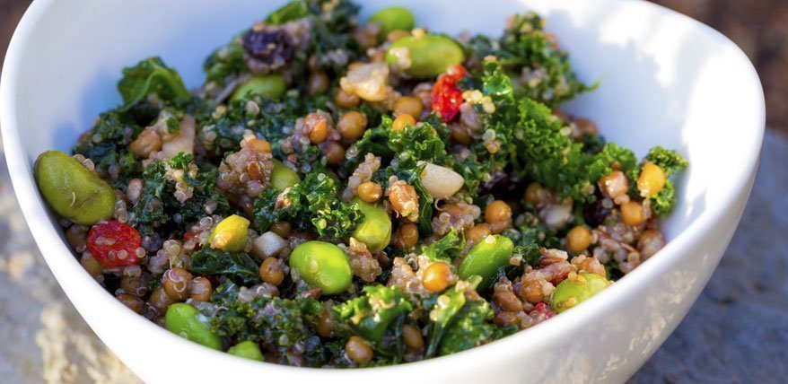 Federkohl-Quinoa-Salat: Rezept zum Niederknien und gesund schlemmen.