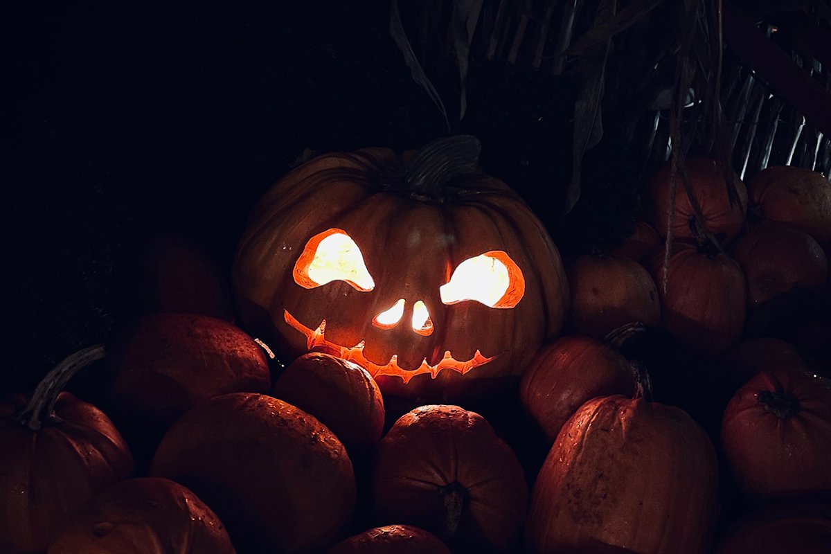 Ein geschnitzter Kürbis an Halloween, der im Dunkeln leuchtet.